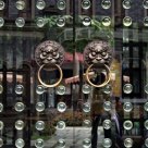 Lion Door